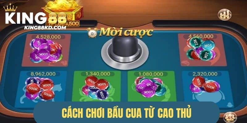 Cách tham gia chơi bầu cua từ chuyên gia