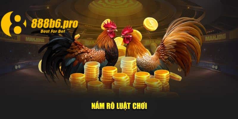 Nắm rõ luật chơi là yếu tố cần thiết để tham gia cá cược tại sân chơi đá gà Thomo 888B